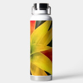 爆発する星 ウォーターボトル (背面)