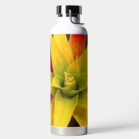 爆発する星 ウォーターボトル (左面)