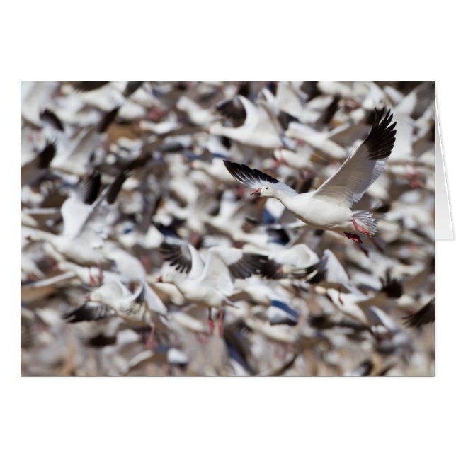 爆発する時間 (正面横)