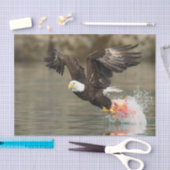 爆発性の白頭鷲 薄葉紙 (クラフト)