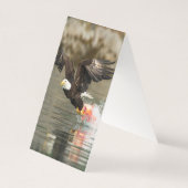 爆発的なハゲのワシ (裏面)