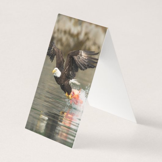 爆発的なハゲのワシ (正面)