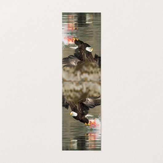 爆発的なハゲのワシ (外部フラット)