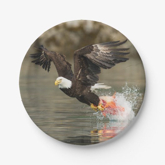 爆発的なハゲのワシ ペーパープレート (正面)