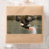 爆発的なハゲのワシ ラベル (インサイチュ)