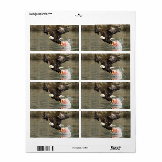 爆発的なハゲのワシ ラベル (フルシート)