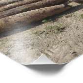 爆発装置の特定と発明 フォトプリント            (角)