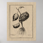 爆薬 ポスター (正面)