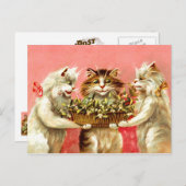 爪先猫 ポストカード (正面/裏面)