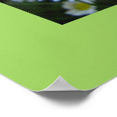 爪先 ポスター (角)