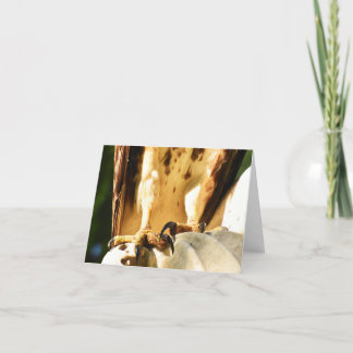 爪(アカバズキ #2)- 白紙のメモカード サンキューカード