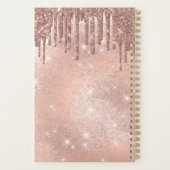 爪、 ネイルモダンバラ金ゴールドグリッタードリップアポイントメント プランナー手帳 (裏面)