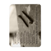 爪、 ネイル不足ことわざマグネット3' x 4'' マグネット (縦)