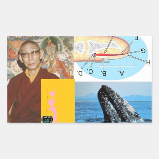 爪、 ネイル 長方形シール (正面)