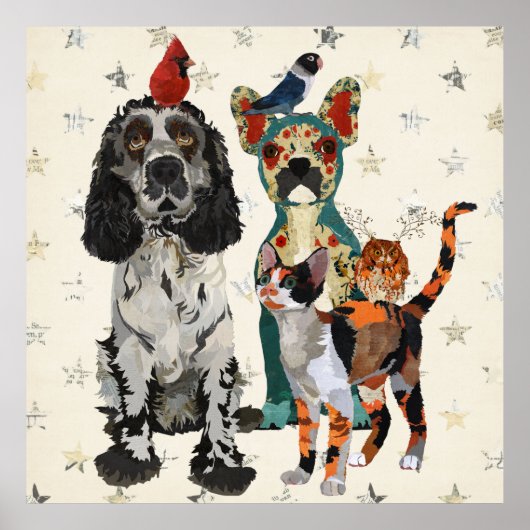 爪、手、羽のポスター ポスター (正面)