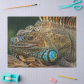 爬虫性トカゲティッシュペーパー 薄葉紙 (クラフト)