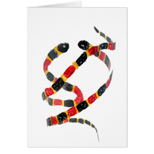 爬虫性絵画サンゴヘビ (正面)