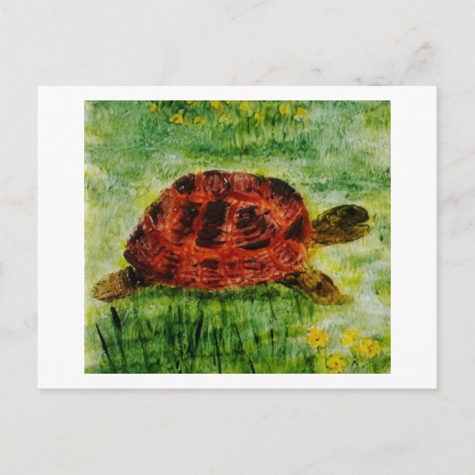 爬虫性絵画動物亀 ポストカード (正面)