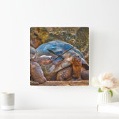 爬虫類ガラパゴスカメの壁時計 スクエア壁時計 (ホーム)