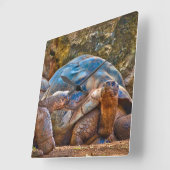 爬虫類ガラパゴスカメの壁時計 スクエア壁時計 (傾斜)