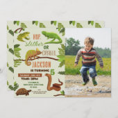 爬虫類スネークバースデーパーティー写真Frogs Iguana 招待状 (正面/裏面)