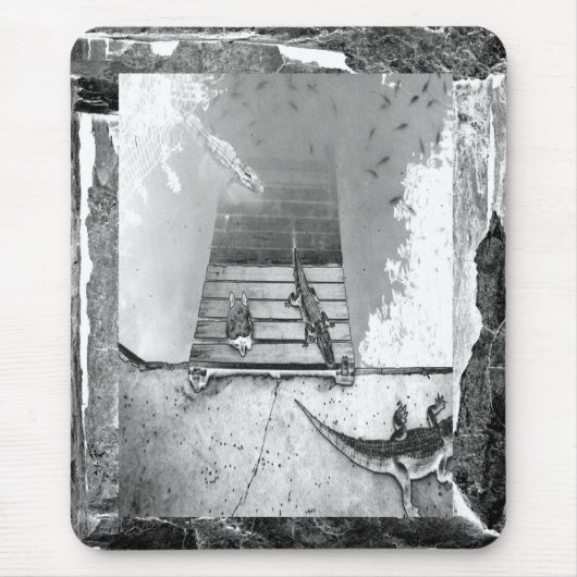 爬虫類バキング マウスパッド (正面)