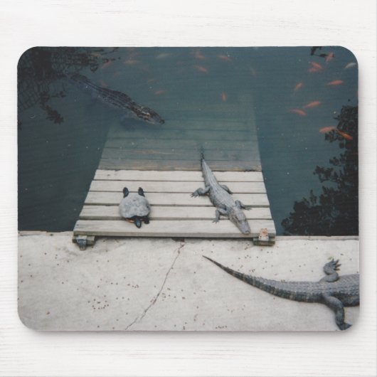 爬虫類バキング マウスパッド (正面)