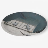 爬虫類バスキング ペーパープレート (アングル)