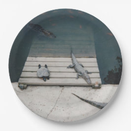 爬虫類バスキング ペーパープレート