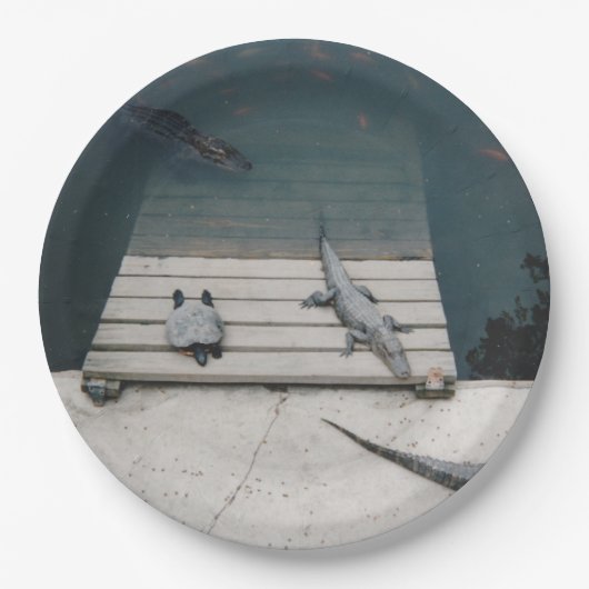 爬虫類バスキング ペーパープレート (正面)