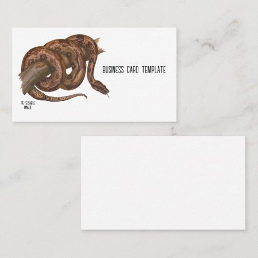 爬虫類ボアくびれヘビの名刺 名刺 (正面/裏面)