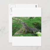 爬虫類ルック.JPG ポストカード (正面/裏面)