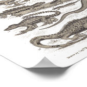 爬虫類ヴィンテージ自然史プリント ポスター (角)