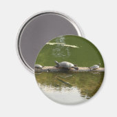 爬虫類商品 マグネット (正面/裏面)