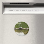 爬虫類商品 マグネット (インサイチュ (食洗機))