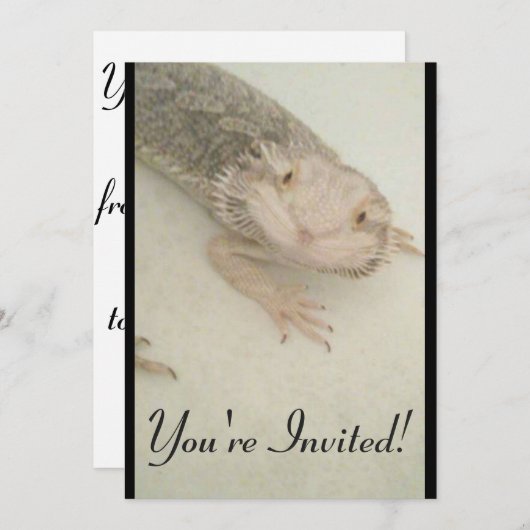 爬虫類型すべての行事! 招待状 (正面/裏面)