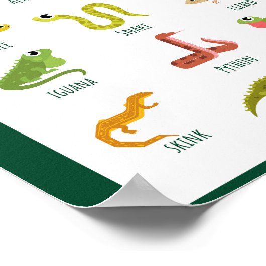 爬虫類学校教育学の ポスター (角)