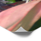 爬虫類戦 ポスター (角)