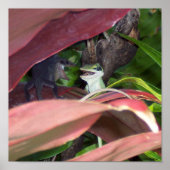 爬虫類戦 ポスター (正面)