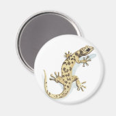 爬虫類磁石 マグネット (正面/裏面)