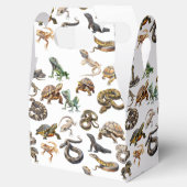 爬虫類蛇トカガメ動物模様 フェイバーボックス (オープン)