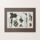 爬虫類,かわいい,トカゲ,動物,爬虫類,カメ ジグソーパズル (横)