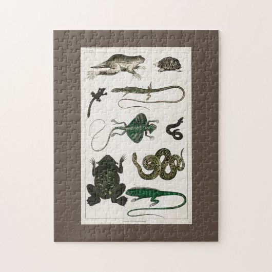 爬虫類,かわいい,トカゲ,動物,爬虫類,カメ ジグソーパズル (縦)