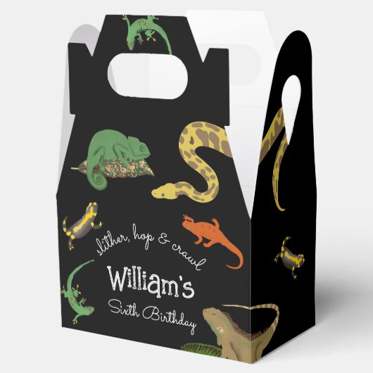 爬虫類、トカゲ類および両生類子供の誕生日 フェイバーボックス (オープン)