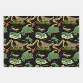 爬虫類、トカゲ類、両生類のパターン ラッピングペーパーシート (正面3)