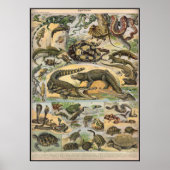 爬虫類 ポスター (正面)