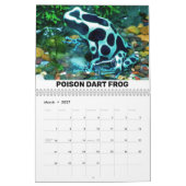 爬虫類・両生類カレンダー カレンダー (3月 2027)