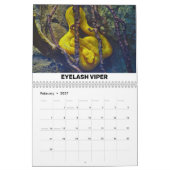 爬虫類・両生類カレンダー カレンダー (2月 2027)