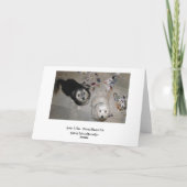 父おもしろいの日ハバナの子犬 カード (裏面)