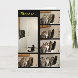 父のデイカード、猫と飛び方 カード